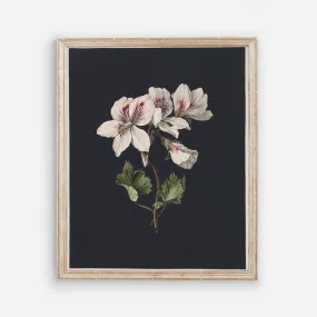 Flowers on Black 2 - Vintage Floral Wall Art